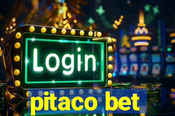 pitaco bet